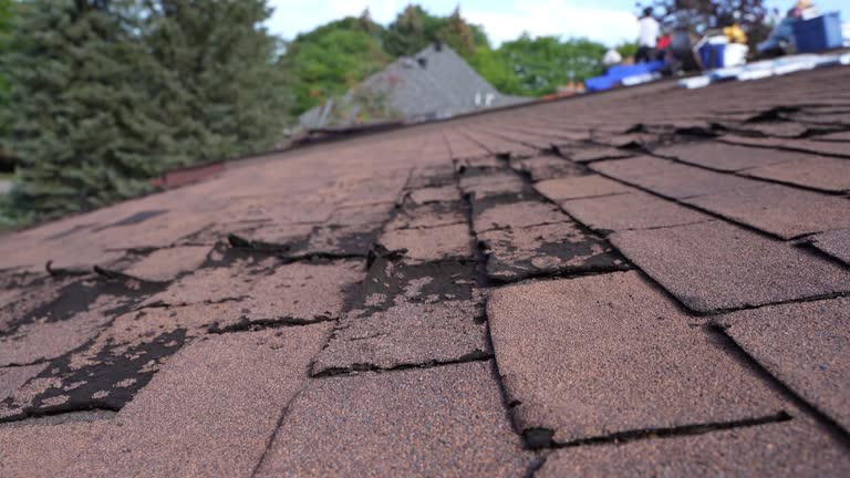 Best Solar Panel Roofing Installation  in Osceola, IN