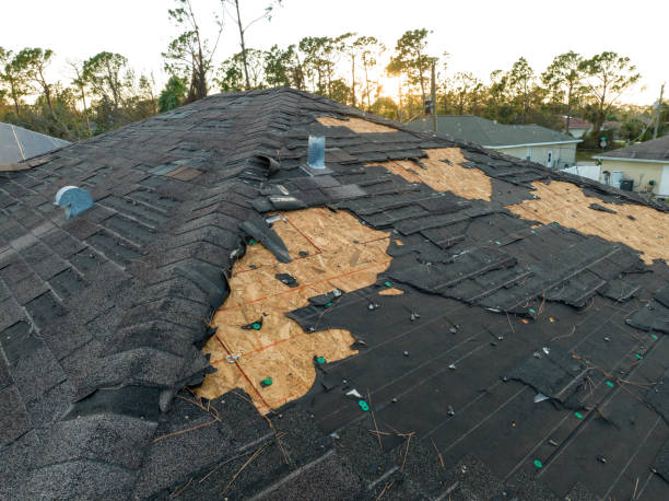 Best Roof Moss and Algae Removal  in Osceola, IN